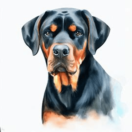 English Mastweiler dog breed petzpedia