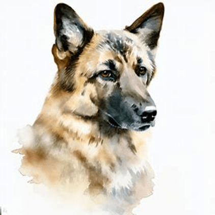 Euro Mountain Sheparnese dog breed petzpedia