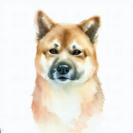 Donggyeongi Dog Breed Petzpedia