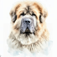 Pyrenean Mastiff  dog breed petzpedia