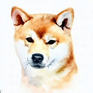 Shiba Inu  dog breed petzpedia