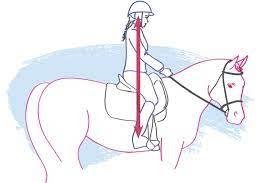 Common Horseback Riding Problems and Solutions